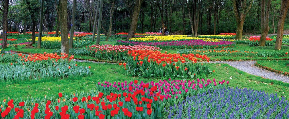 1679986772.png 中科(kē)院5.png